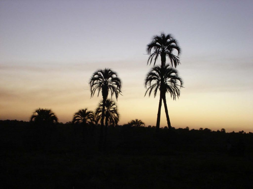 El Palmar, Colón, entre Ríos