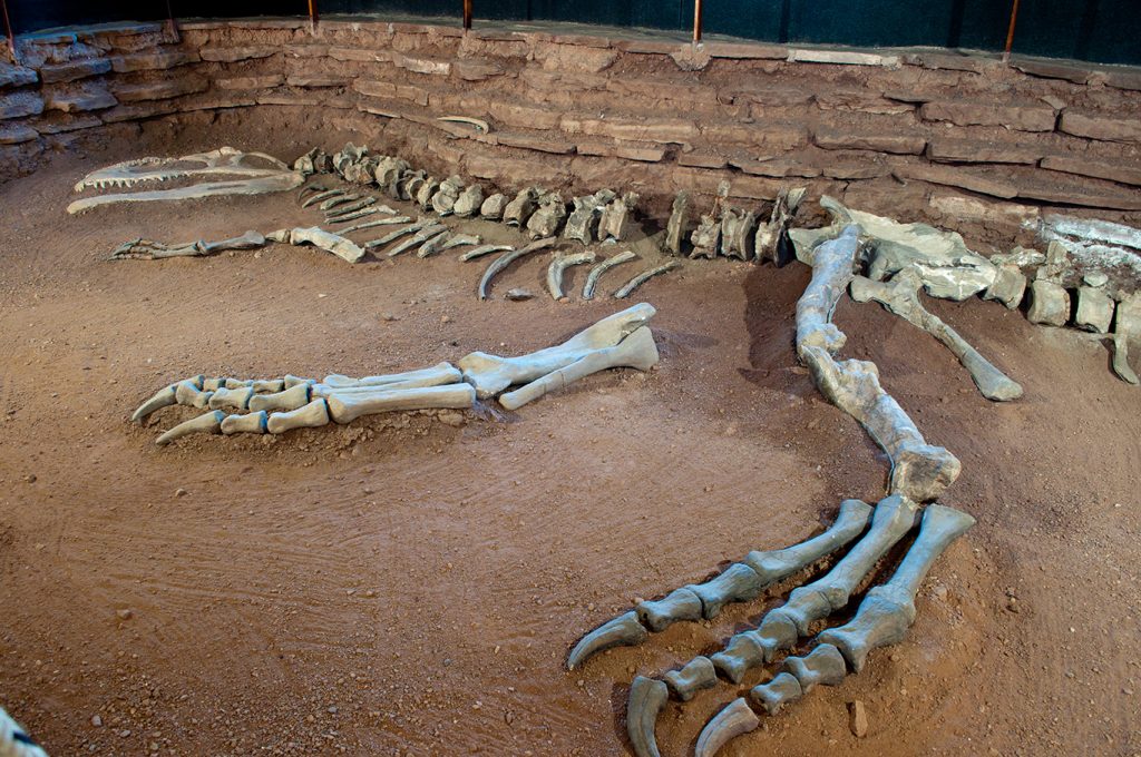 Villa El Chocón, tierra de dinosaurios