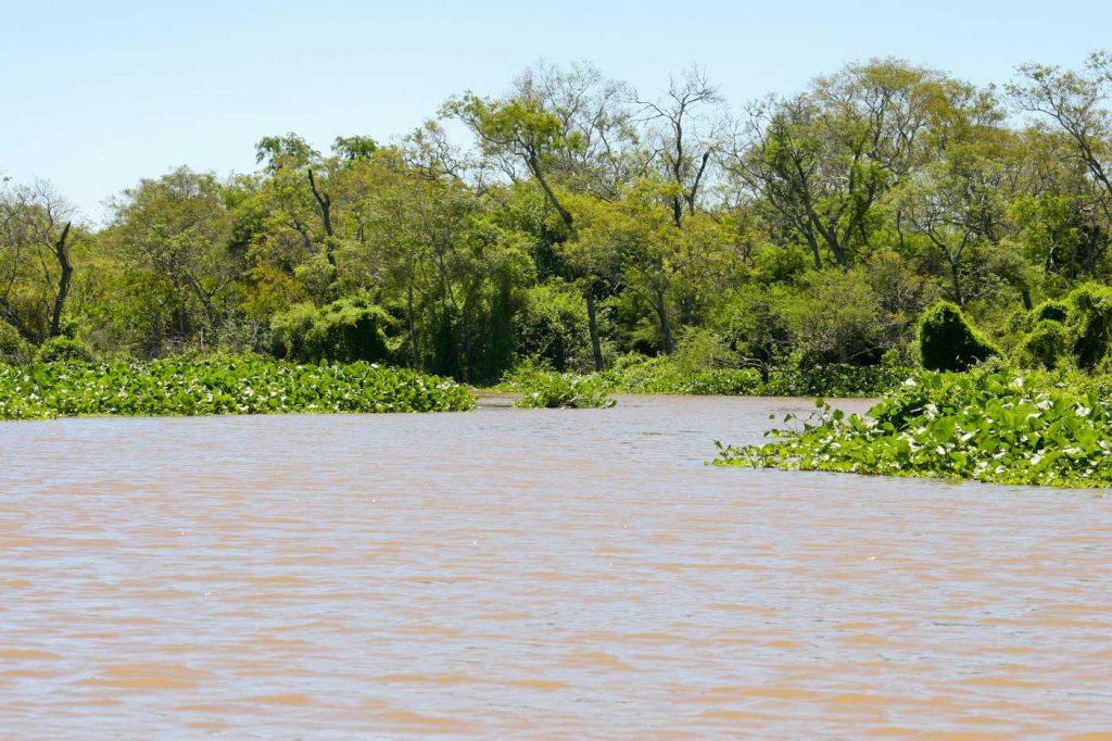 Pesca en Villa Río Bermejito