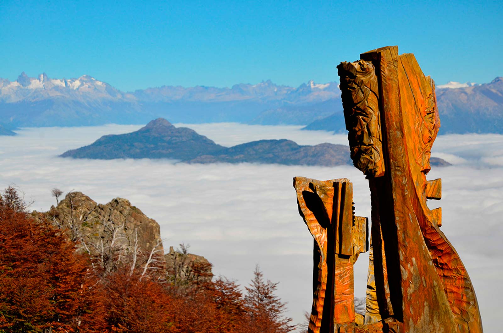 El Bosque Tallado en Imperdibles de El Bolsón Tripin Argentina