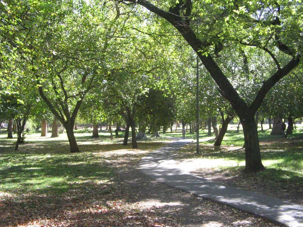 Paseo del Bosque de La Plata - misterioslaplata