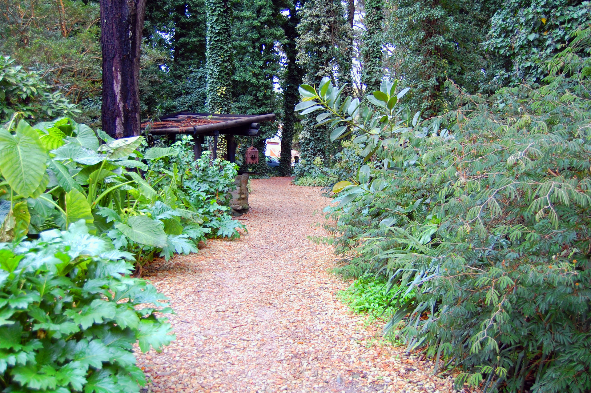 Bosque Peralta Ramos, Mar del Plata Tripin Argentina