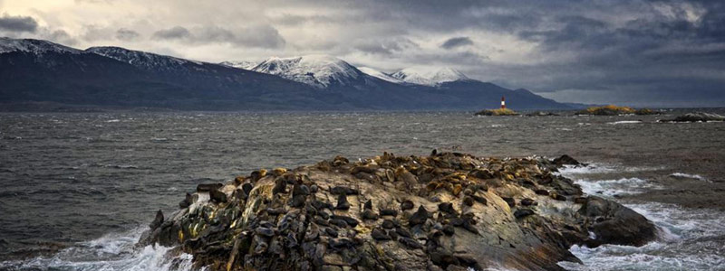 Isla de los lobos, ushuaia