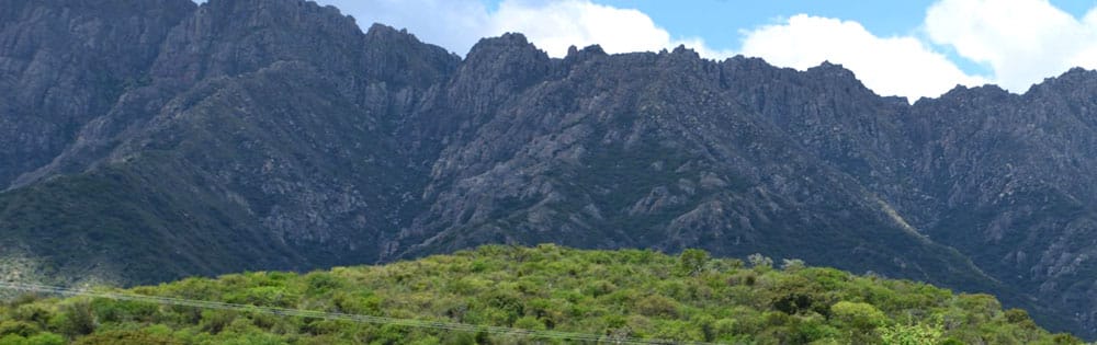 Cortaderas, San Luis