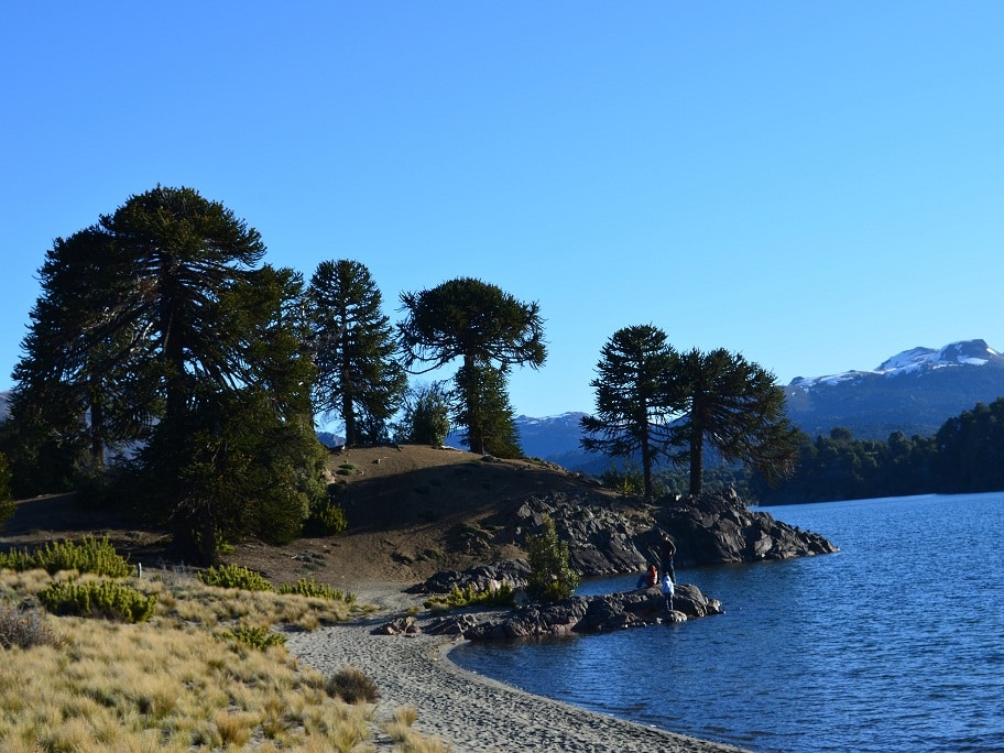 Villa Pehuenia - Ruta del Pehuén, Neuquén - neuquentur.gob.ar