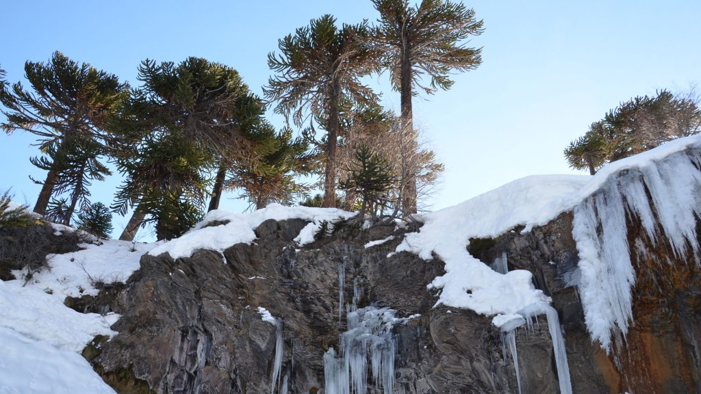Cerro Caviahue Ski Resort, Neuquén - foto: caviahue.com
