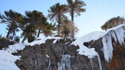 Cerro Caviahue Ski Resort, Neuquén - foto: caviahue.com Cerro Caviahue Ski Resort, Neuquén - foto: caviahue.com