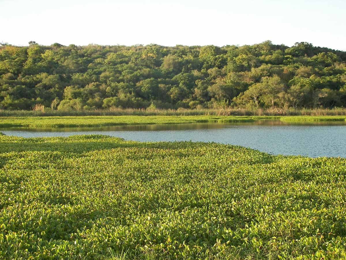 Laguna las piedras - Parque Nacional Pre Delta, Diamante, provincia de Entre Ríos