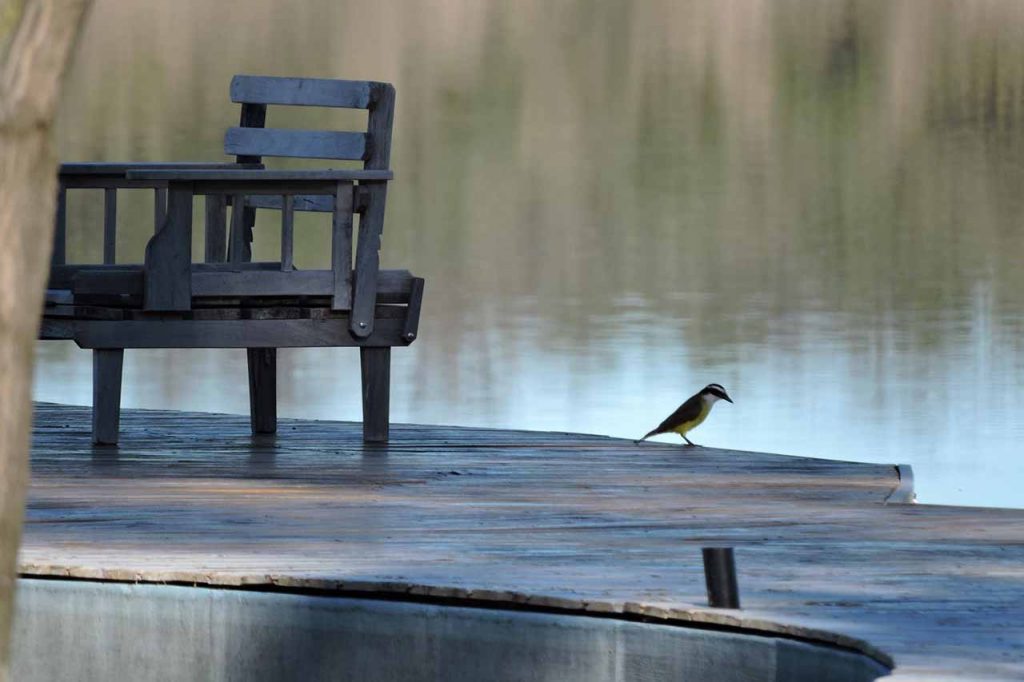 Area Protegida Laguna Guatrache, La Pampa - Foto: Roberto Mario Russo‎