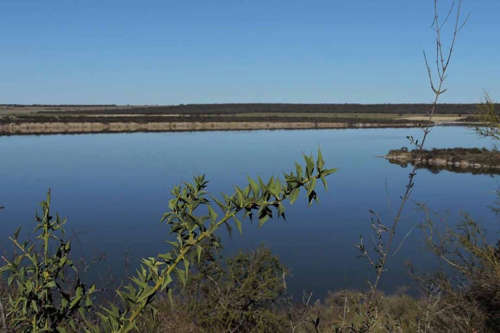 Area Protegida Laguna Guatrache, La Pampa - Foto: Roberto Mario Russo‎